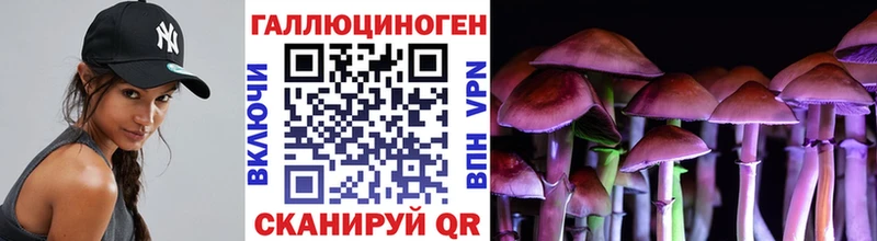 Псилоцибиновые грибы Magic Shrooms  KRAKEN ССЫЛКА  Ртищево  купить наркотик 