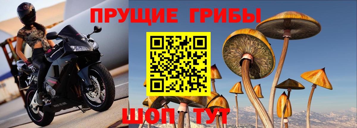 Псилоцибиновые грибы Cubensis  Вход с VPN  Псилоцибиновые грибы мухоморы  Ртищево 